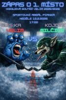 finálový hokejový zápas